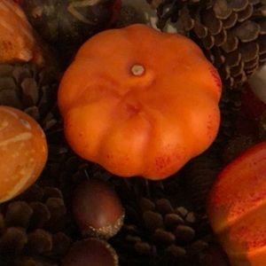 Meet your Posher, Lynn